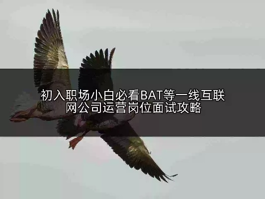 搜狐视频介绍运营岗位的BAT面试真相-第3张图片-www.211178.com_果博福布斯